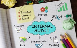 performing an internal audit