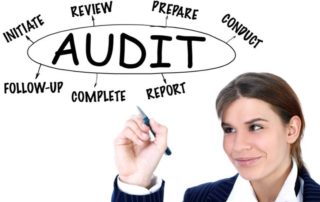 objectives of auditing