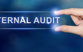 internal audit scope of work